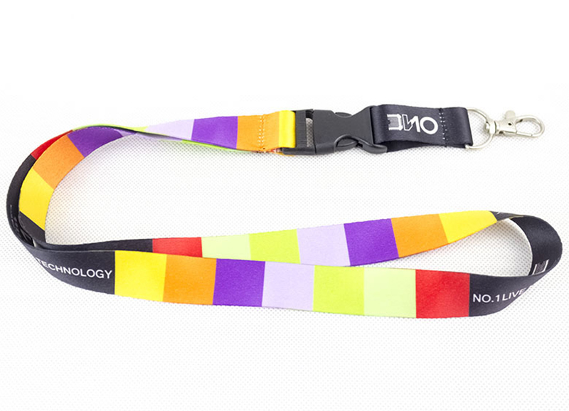 Lanyard keychain